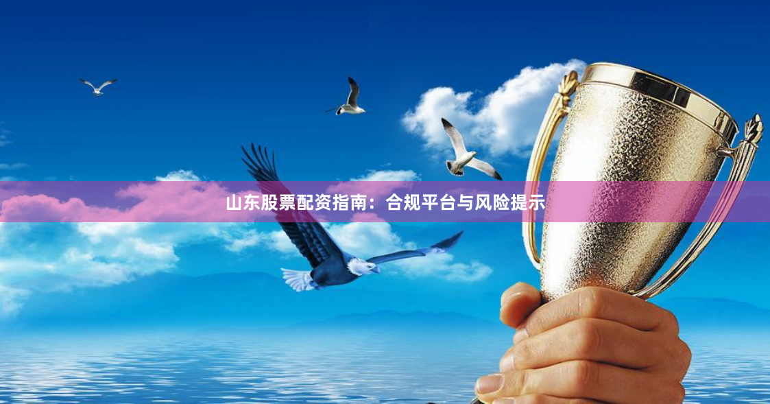 山东股票配资指南：合规平台与风险提示